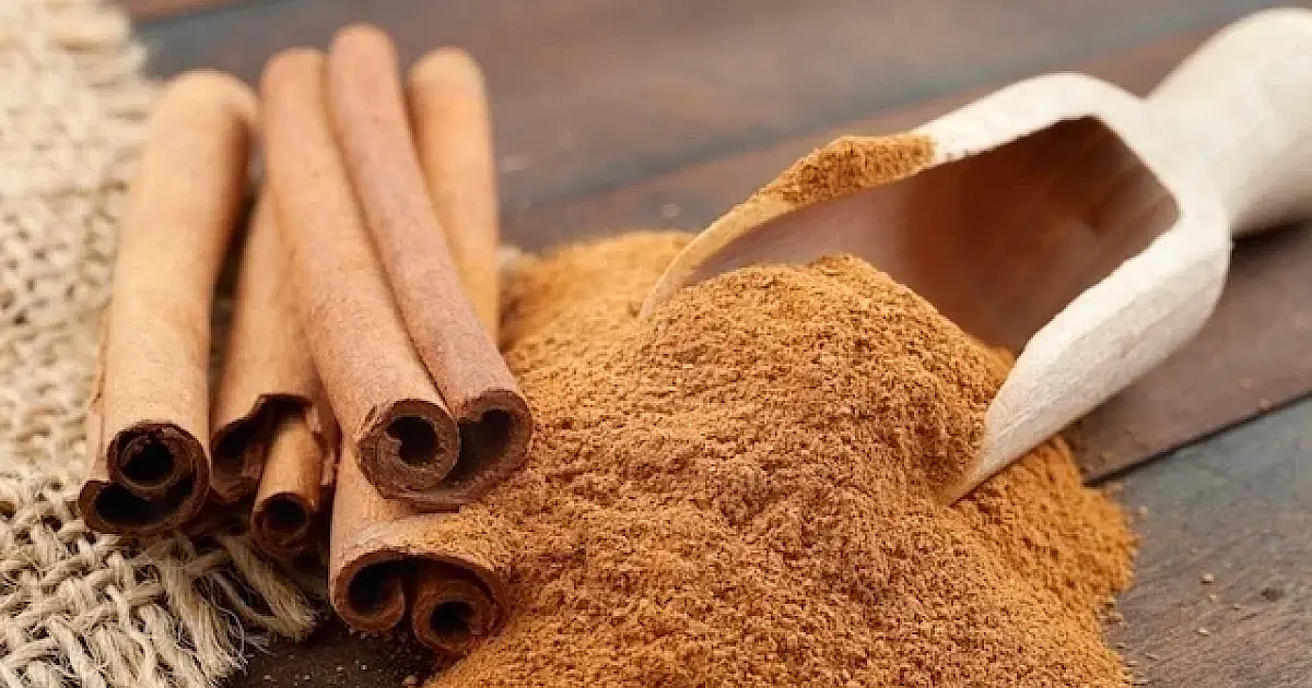 Anvisa determina recolhimento de canela em pó da marca Kodilar por presença de pelos de roedor