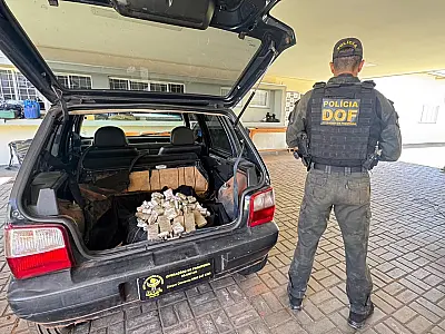 DOF apreende haxixe marroquino avaliado em R$ 655 mil na BR-163
