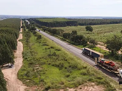 Governo de Mato Grosso do Sul conclui processo de licitação da Rota da Celulose e convoca novo vencedor