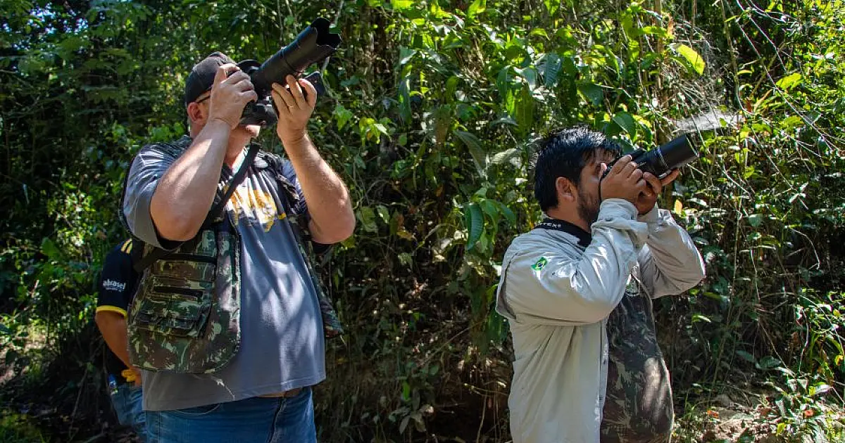 Parque do Pombo será um dos locais de MS em que pesquisadores estarão para o “Global Big Day” de observação de aves