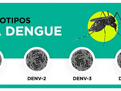 A tradicional compra de ovos de páscoa em Três Lagoas revela novos hábitos entre os consumidores