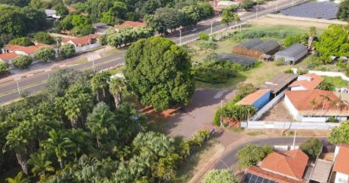 Viveiro Municipal vai abrir em horário especial durante o mês de setembro para doação de mudas