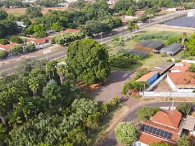 Viveiro Municipal vai abrir em horário especial durante o mês de setembro para doação de mudas