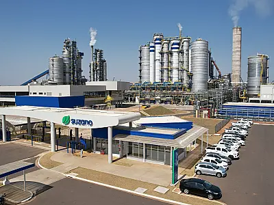 Suzano abre seis processos seletivos para atender suas operações em Ribas do Rio Pardo e Três Lagoas
