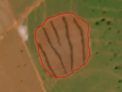 MP investiga desmatamento ilegal de 11 hectares em reserva legal no Cerrado de MS