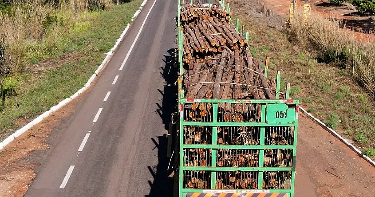 Projeto de recuperação de 13 rodovias em MS deve ser licitado apenas em 2027