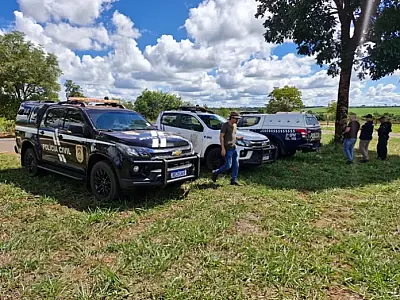 Homem é preso em flagrante com 70 m³ de eucalipto furtado avaliado em mais de R$ 10 mil em Brasilândia