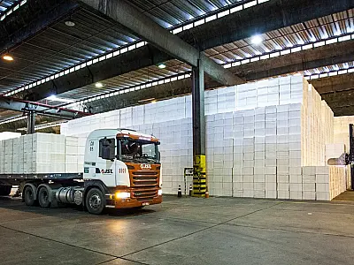 Setor de celulose e papel abre vagas de emprego em MS; Confira oportunidades para a primeira semana de dezembro