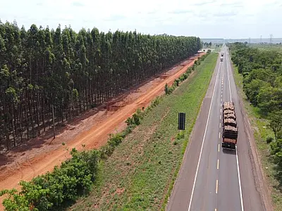 Rota da Celulose vai qualificar rodovias, impulsionar economia e mudar realidade de muitas pessoas
