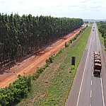 Rota da Celulose vai qualificar rodovias, impulsionar economia e mudar realidade de muitas pessoas