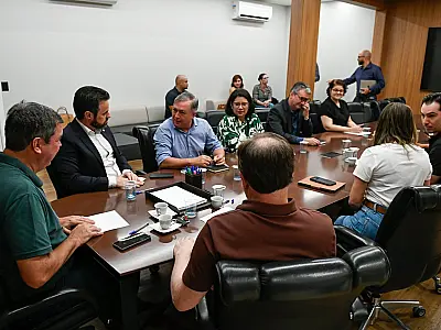 Riedel reúne Poderes para discutir modelo mais eficiente na proteção a mulheres vítimas de violência