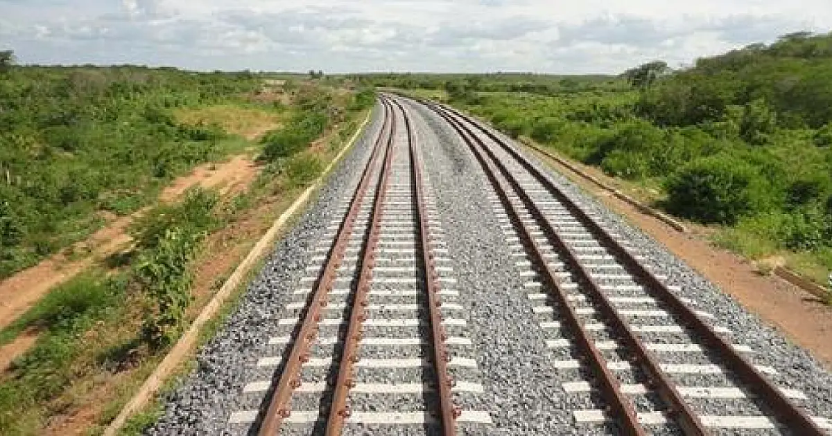 Celulose no trilho, desenvolvimento fora: proposta da Rumo privilegia Três Lagoas e ignora o restante do MS