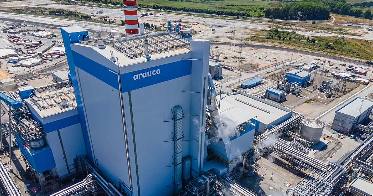 Sindicato entra em cena após operários paralisarem obra da Arauco em MS