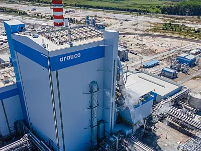 Sindicato entra em cena após operários paralisarem obra da Arauco em MS