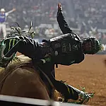José Vitor Leme faz história e é tricampeão mundial de montaria em touros pela PBR