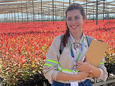 Bracell e MS Florestal tem inscrições abertas para Programa de Trainee 2024