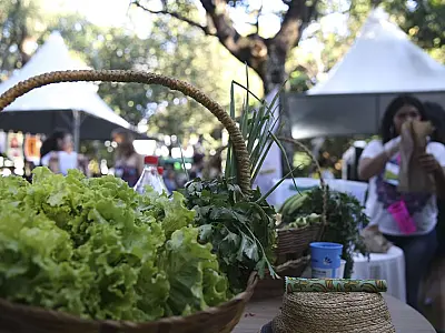 Programa convoca jovens a desenvolver soluções sustentáveis globais