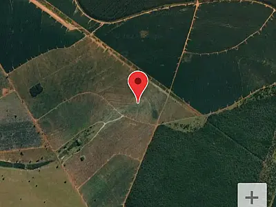 Estudo revela impactos ambientais das fábricas de celulose em Três Lagoas e região