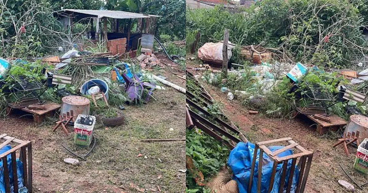 MPMS obtém liminar que garante acesso de agentes a imóveis para combater a dengue em Cassilândia