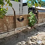 Larvitrampas reforçam combate ao mosquito da dengue e ajudam na prevenção de surtos em Três Lagoas
