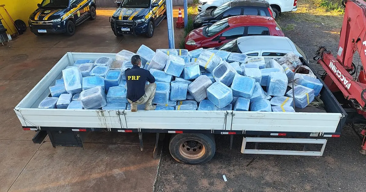PRF apreende 4,7 toneladas de maconja escondidas em carga de sementes de girassol na BR-158, em Três Lagoas