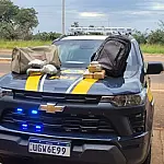 PRF apreende mais de 4 kg de drogas em veículo de aplicativo na BR-262, em MS