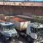 Operação Timber Shield retém oito caminhões com madeira suspeita de ocultar até 50 toneladas de cocaína
