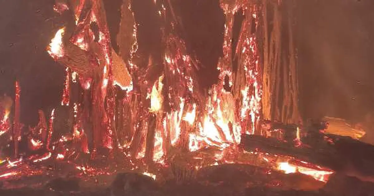 Incêndio destrói figueira centenária na Vila Piloto; bombeiros usam 600 litros de água