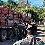Operação Timber Shield: Brasil, EUA e Bolívia interceptam uma das maiores cargas de cocaína da história