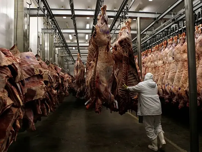 Carne pantaneira pode ganhar passaporte para mercado europeu com visita de instituto alemão