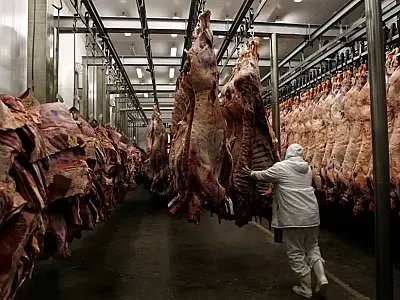 Carne bovina MS