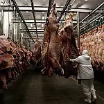 Carne pantaneira pode ganhar passaporte para mercado europeu com visita de instituto alemão