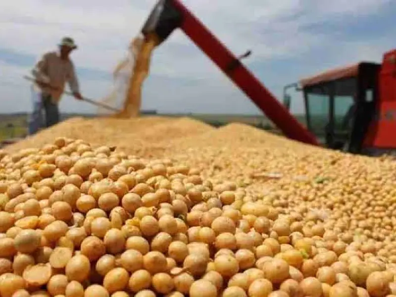 Nova tarifa de 12,5% dos EUA entra em vigor, mas principais produtos de MS são isentos