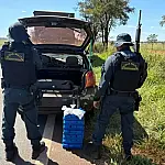 PMR apreende 35 quilos de drogas em Brasilândia e prende jovem de 18 anos