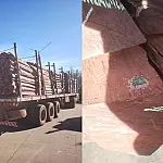 Laudo da PF descarta presença de cocaína em carga de 260 toneladas de madeira apreendida na fronteira